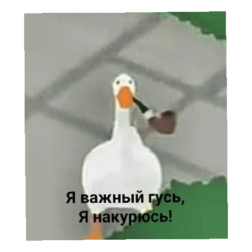 Всякая дичь 5 - 