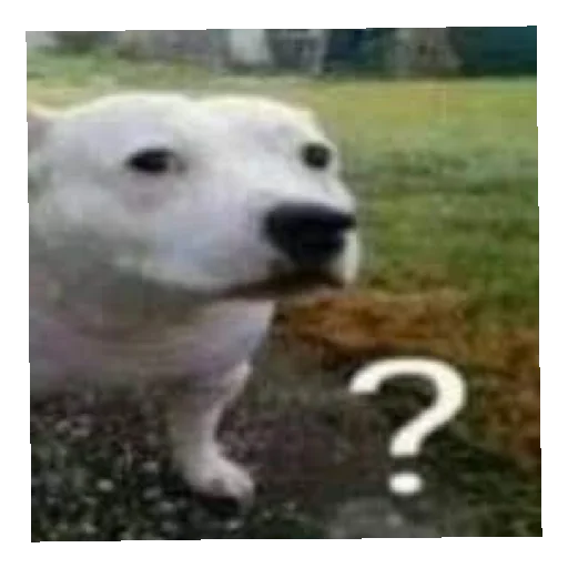 Sticker Vsyakaya_dich_6 - 1