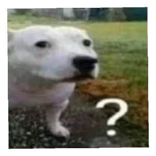 Sticker Всякая дичь 6 - 10