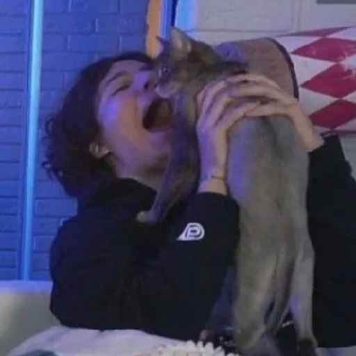 animal mammal person