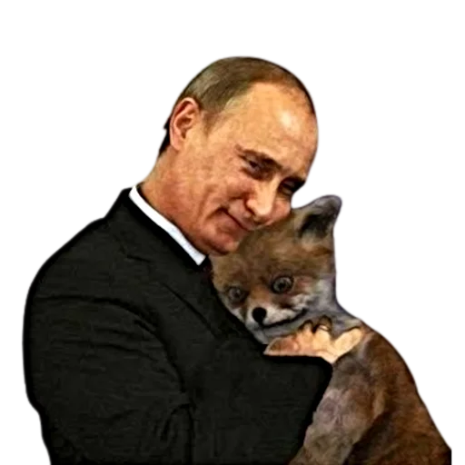 mammal animal person