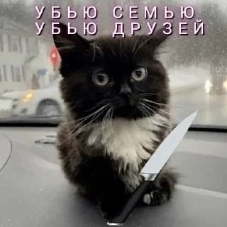 Sticker Больше стикеров 👉🏻 @stickertg4 - 1