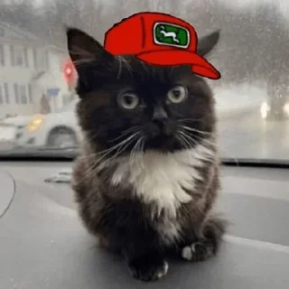 Sticker Больше стикеров 👉🏻 @stickertg4 - 4