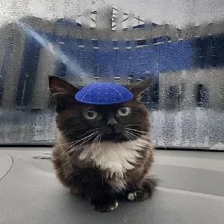 Sticker Больше стикеров 👉🏻 @stickertg4 - 2