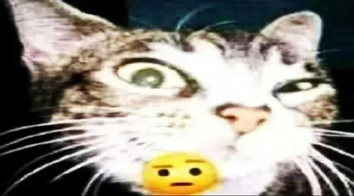 Стикер VunwmBI_by_achestickbot - 1