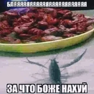 Sticker Больше стиков тут: @stikery4 - 6