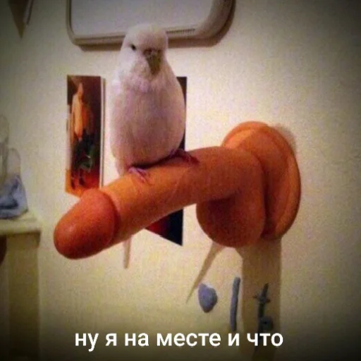 Стикер Vusig - 1