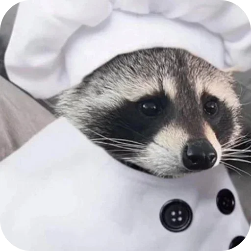 Sticker Vvsyacheskoe - 1