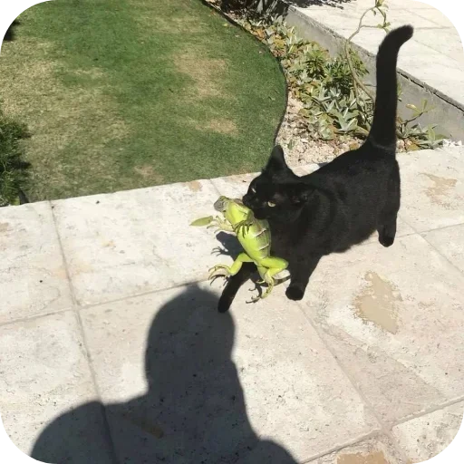 Стикер Vvsyacheskoe - 1