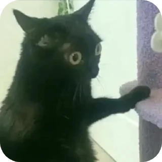 Sticker Vsyacheskoe - 10