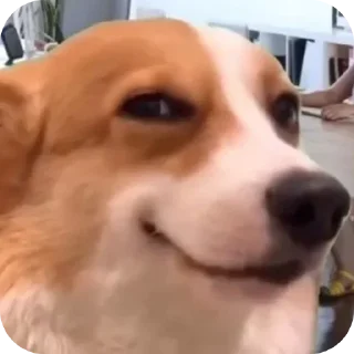 Sticker Vsyacheskoe - 9