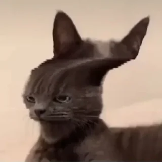 Sticker Vsyacheskoe - 8