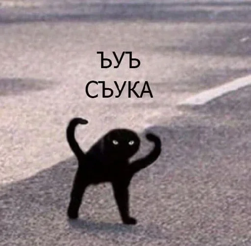 СМС млекопитающее животное