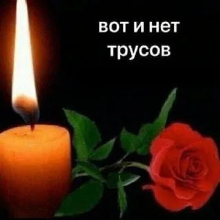 Sticker лера хорни - 10