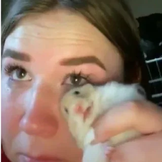 Sticker ввз стики - 5