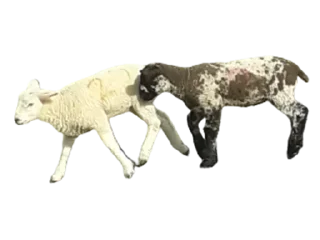 Sticker Больше стикеров 👉🏻 @stickertg4 - 11