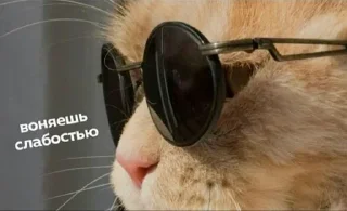 Стикер Больше стиков тут: @stikery4 - 1