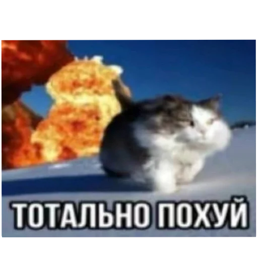 Sticker Vyebal_kozu - 1