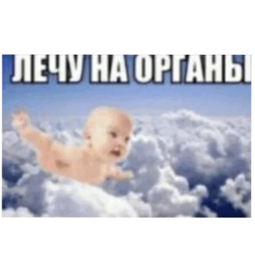 Sticker Vyebal_kozu - 1