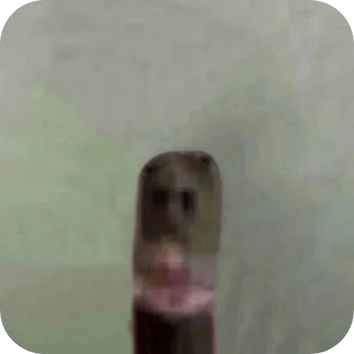 Sticker Vyebal_kozu - 1