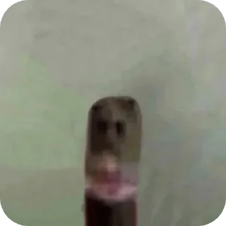 Стикер Выебал козу - 3