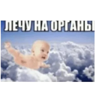 Стикер Выебал козу - 4