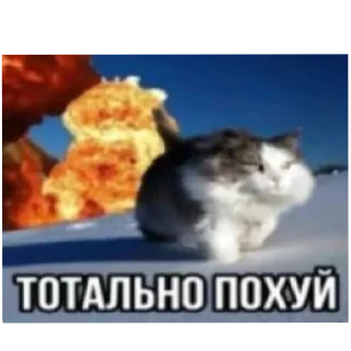 Стикер Выебал козу - 10