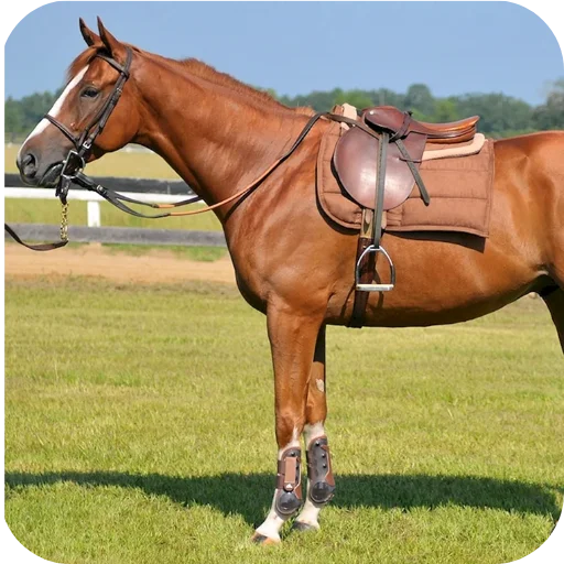 Стикер VyebiSebya - 1