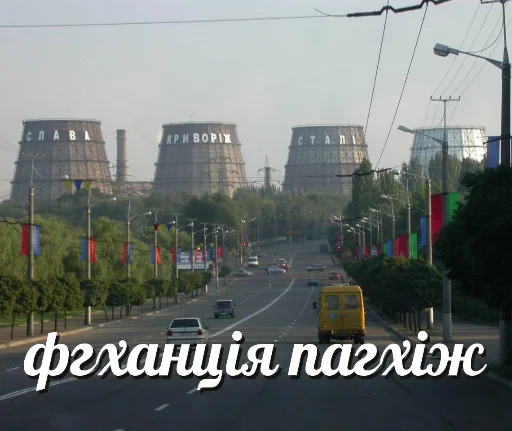 на открытом воздухе небо дерево