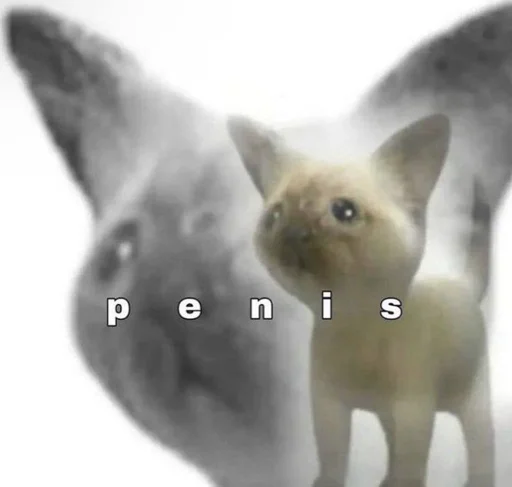 Создать стикеры|@EmojiRuBot - 