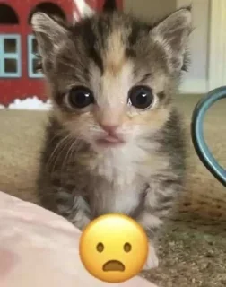 Sticker Создать стикеры|@EmojiRuBot - 1