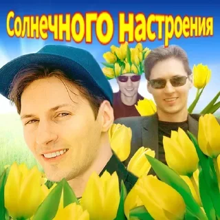 Sticker Больше стикеров: @sticerru - 6