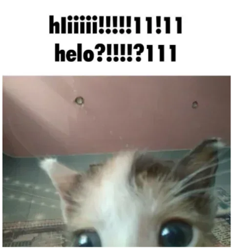 @sticksbb 🩷 <- канал со стиками - 