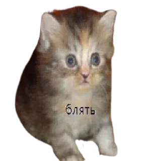 Sticker Стикеры тут: @stikeryv - 1