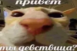 Sticker Стикеры тут: @stikeryv - 7