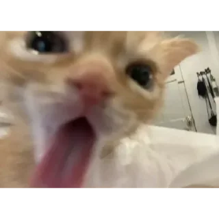 Sticker Стикеры тут: @stikeryv - 6