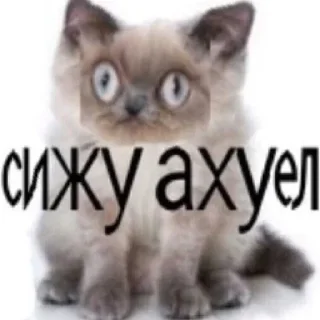 Sticker Стикеры тут: @stikeryv - 4