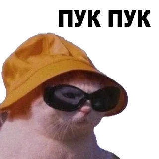 sunglasses eyewear goggles