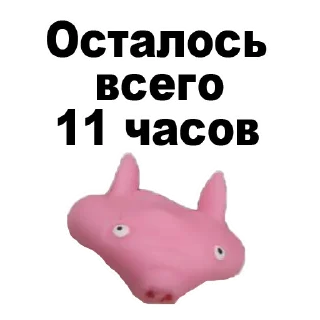 cartoon text pig