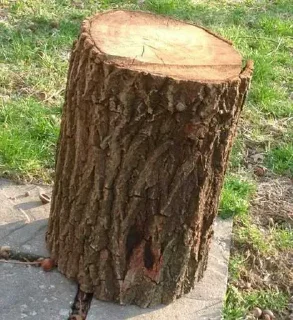 Sticker @stiki_tg_nah_canal - 10