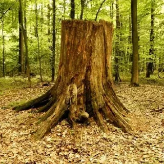 Sticker @stiki_tg_nah_canal - 8