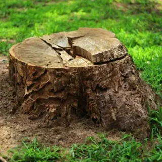 Sticker @stiki_tg_nah_canal - 4