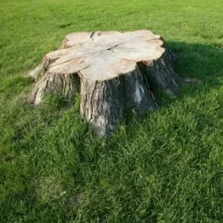 Sticker @stiki_tg_nah_canal - 0