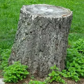 Sticker @stiki_tg_nah_canal - 2