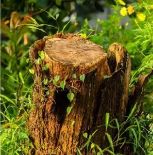 Sticker @stiki_tg_nah_canal - 5