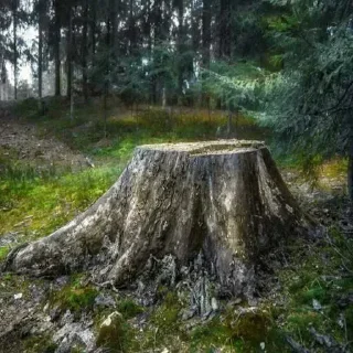 Sticker @stiki_tg_nah_canal - 7