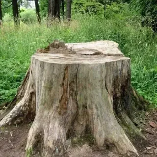 Sticker @stiki_tg_nah_canal - 11