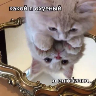 Sticker Больше стиков тут: @stikery4 - 5