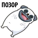 Sticker White Pug @stickersb2b - 1