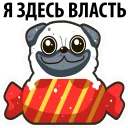 Sticker White Pug @stickersb2b - 8